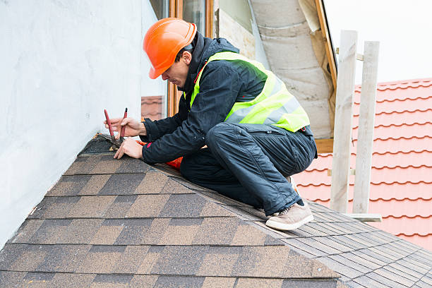 Best Roof Gutter Cleaning  in Chickasaw, AL